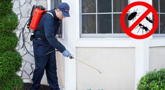 Evka 1 Haşere İlaçlama böcek ilaçlama ve haşere kontrolü — ilaclama-tr.com